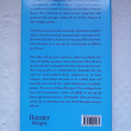 Utan bagage - Anne Tyler