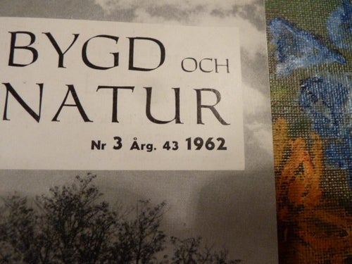 BYGD OCH NATUR, 1962 NR 3, TÖRNROSSEN BLOMMAR ALLTID, TIDNING