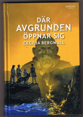 Cecilia Bergwall: Där avgrunden öppnar sig- 1:a upplagan!