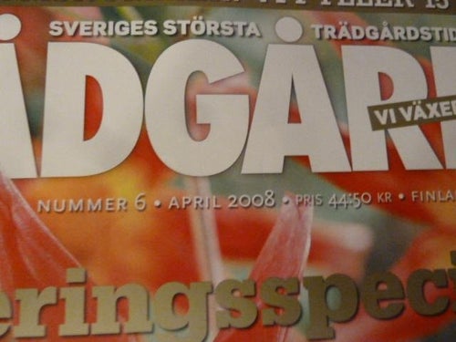 ALLT OM TRÄDGÅRD, NR 6-2008, TIDNING