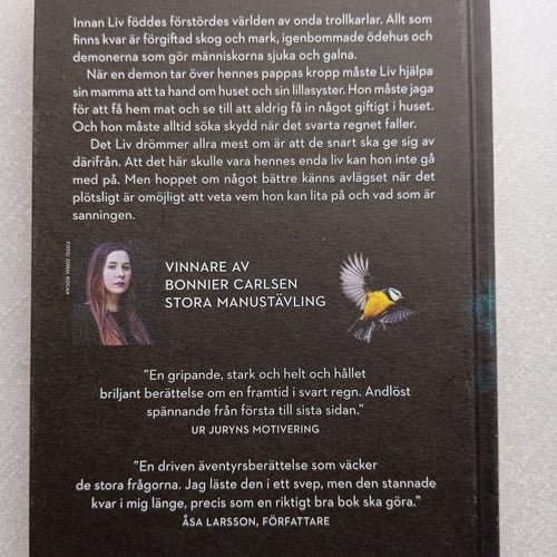 Det svarta regnet av Stina Nilsson (2020)