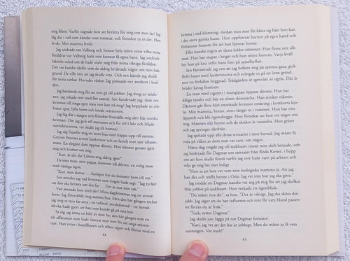 Barnet från ingenstans – Projekt Lebensborn, nazisternas raspolitik