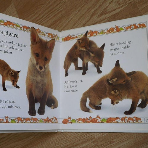 Alla har vi varit små . RÄV . Bilderbok med unga rävar  , Foto: Jane Burton