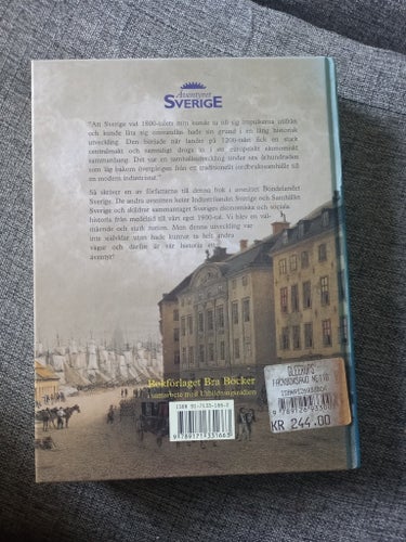 Äventyret Sverige: En ekonomisk och social historia