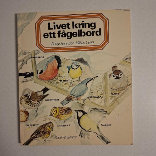 Livet kring ett fågelbord