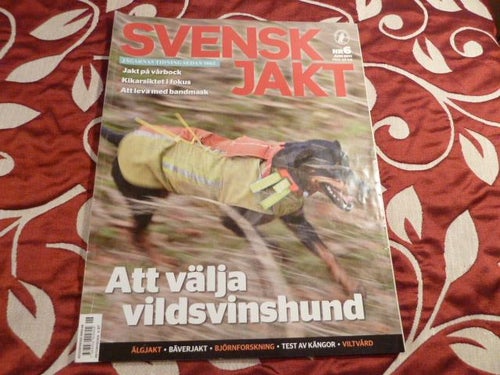 SVENSK JAKT NR6, 2011,
