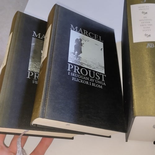 Marcel proust på spaning efter den tid som flytt med register 1-8