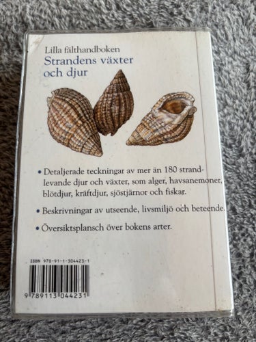 Strandens växter och djur