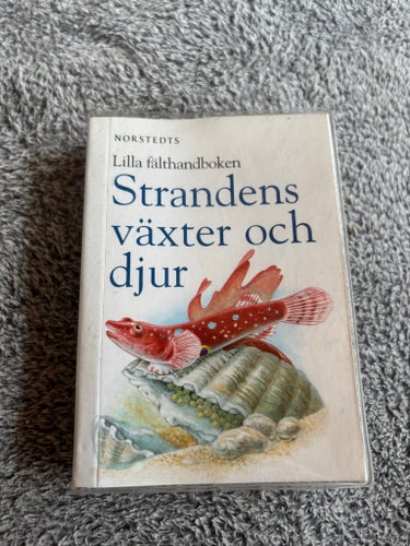 Strandens växter och djur