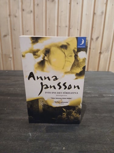 Inte ens det förflutna - Anna Jansson