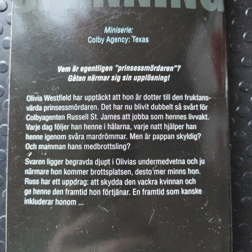 I drömmarna av Debra Webb