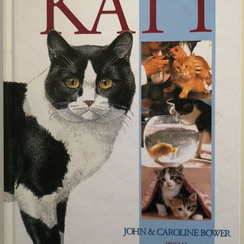 GODA RÅD OM DIN KATT, BOWER 2001