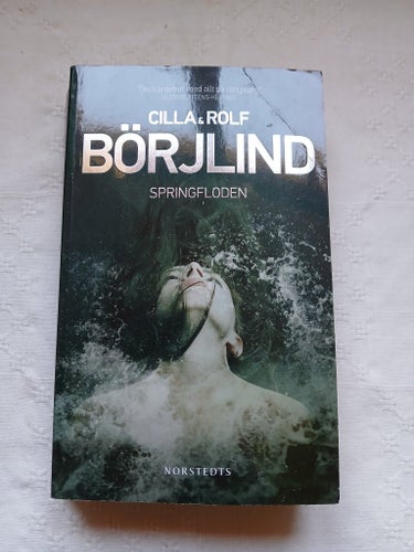 Springfloden - Cilla & Rolf Börjlind