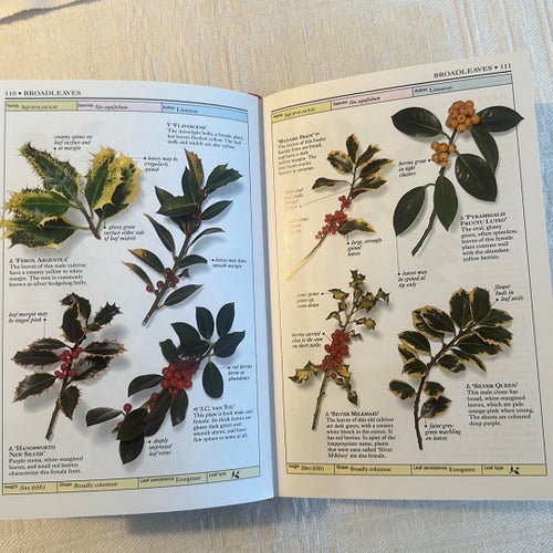 Trees - Allen J. Coombes