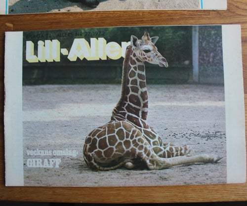 Lill-Allers bilagan veckotidning 1972 nr 27