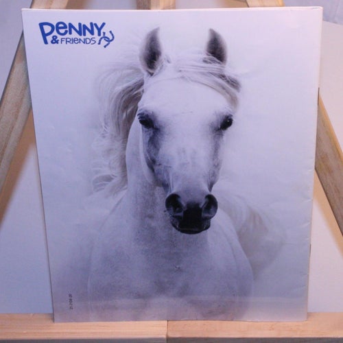Penny & Friends - 2021 - med poster.