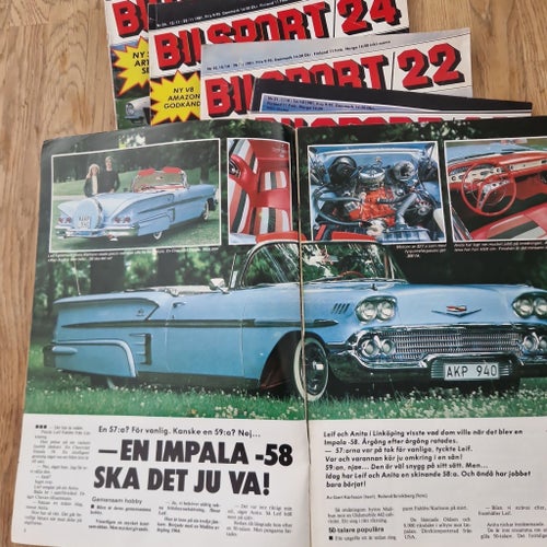 Bilsport 1981