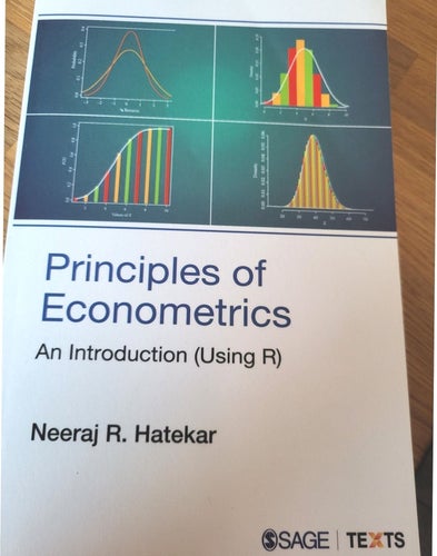 Principles of Econometrics av Neeraj R. Hatekar