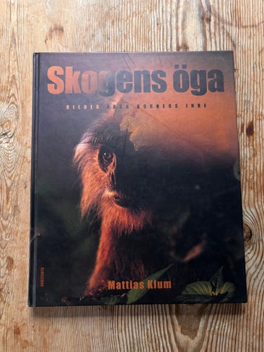 Skogens öga av Mattias Klum, 2007