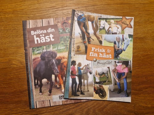 Stort paket för den hästtokiga hästttidningar hästprylar stickers mm
