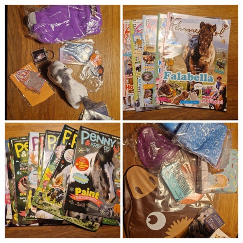Stort paket för den hästtokiga hästttidningar hästprylar stickers mm