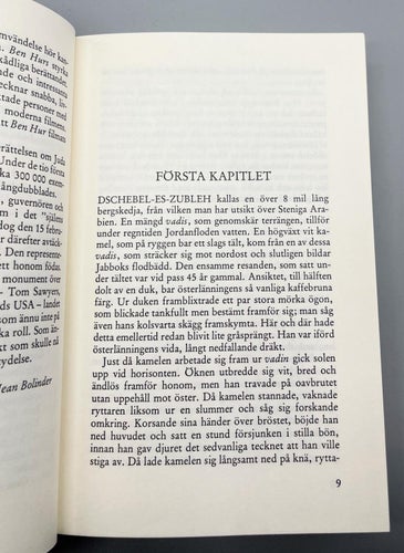 Ben Hur av Lewis Wallace (Bra Klassiker)