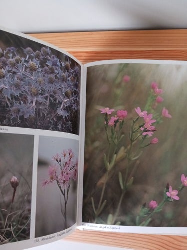 Örtabok. Blommor av Sune och Stina Jonsson, 1981
