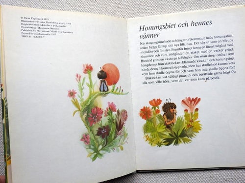 Äventyr på ängen av Elena Cepcekova. Barnbok 1977
