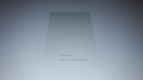 BMW - Pressfoto Riccardo Patrese ca 16 x 11 cm