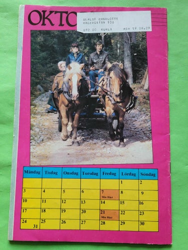 Min häst nr 19 från 1983