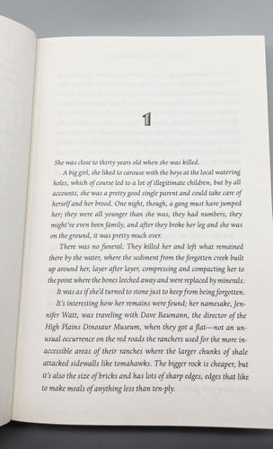 Walt Longmire bok 11: Dry Bones av Craig Johnson