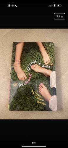 The Secret Language of Girls av Frances O'Roark Dowell