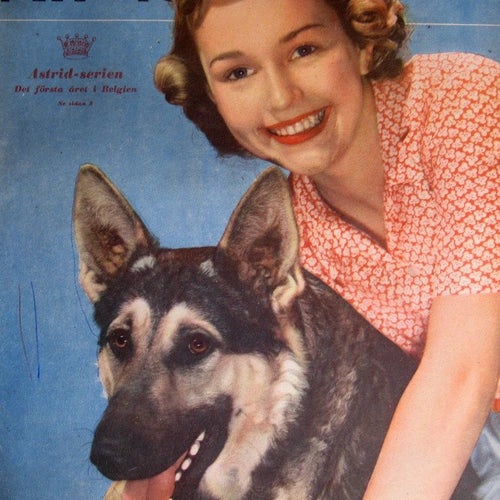 Allers 1950-44 Idolbild Edvin Wilde.Drottning Astrid.Schäfer