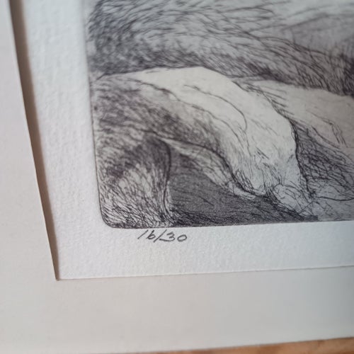 Grafik av fiskehoddor, havet