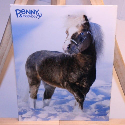 Penny & Friends - 2021 - med poster.