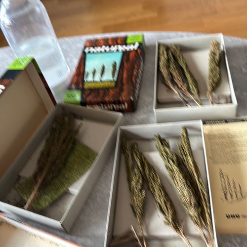 3 paket med Barrträd till modelljärnväg