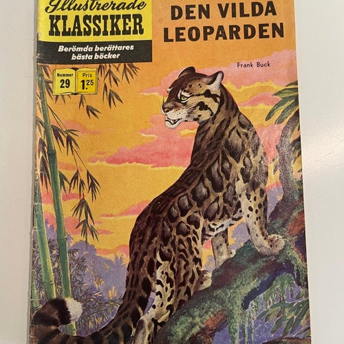 Illustrerade Klassiker Nr 29