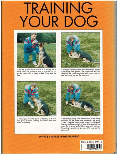 Training your dog (inb) rikt illustrerad