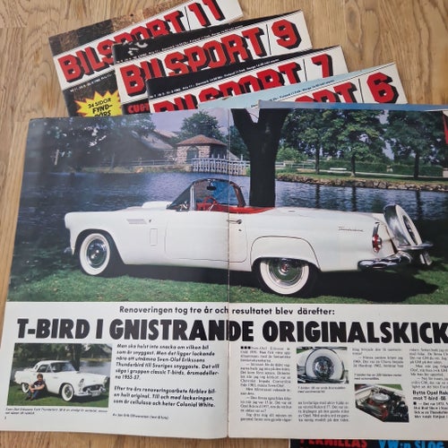 Bilsport 1982