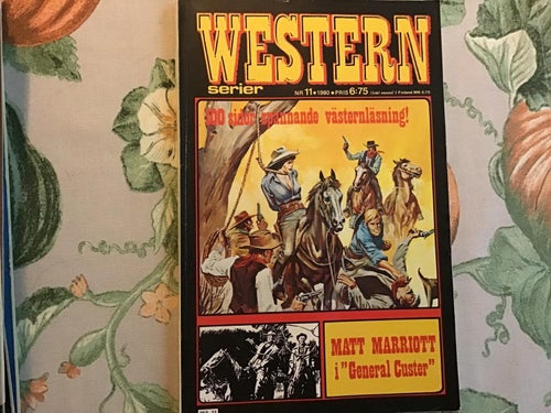 WESTERN NR 11 1980