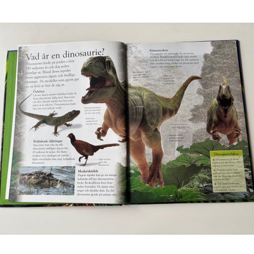 En titt på Dinosaurier - Upptäck dinosauriernas tid