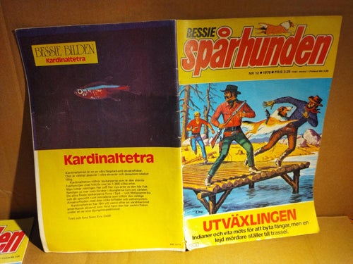 Bessie spårhunden 1976 nr 12, Very good