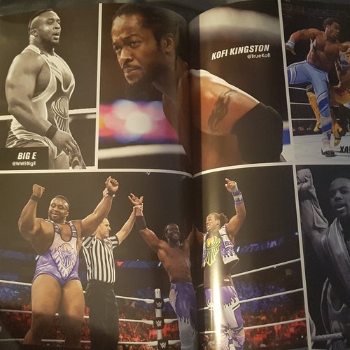 WWE Official Program 2015 - 2016