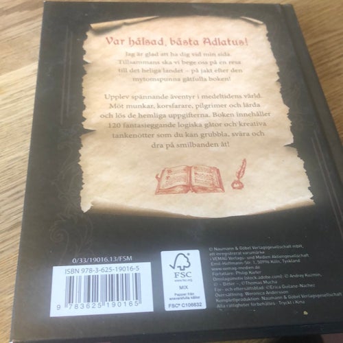 Logiska gåtor från medeltiden av Broder William