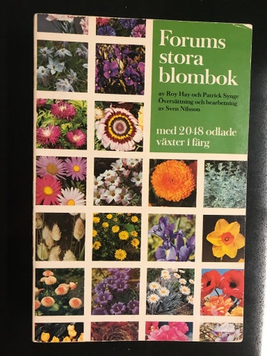 Forums stora blombok