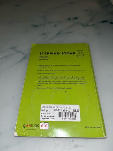 Stepping Stone 3 av Birgitta Dalin, Jeremy Hanson, Kerstin Tuthill