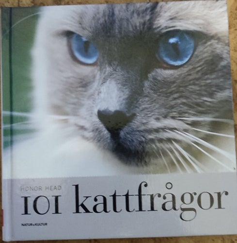 101 kattfrågor av Honor Head, 2006