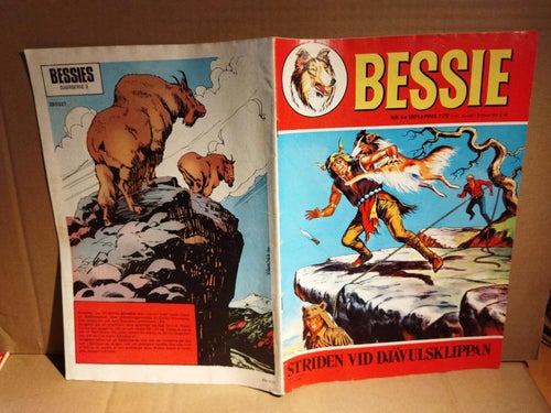 Bessie 1971 nr 4, Fine