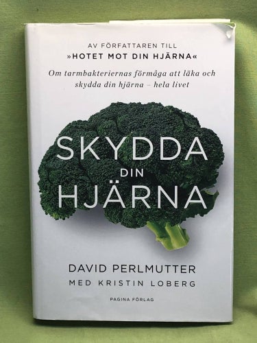 Skydda din hjärna om tarmbakteriernas förmåga att läka och skydda din hjärna - h