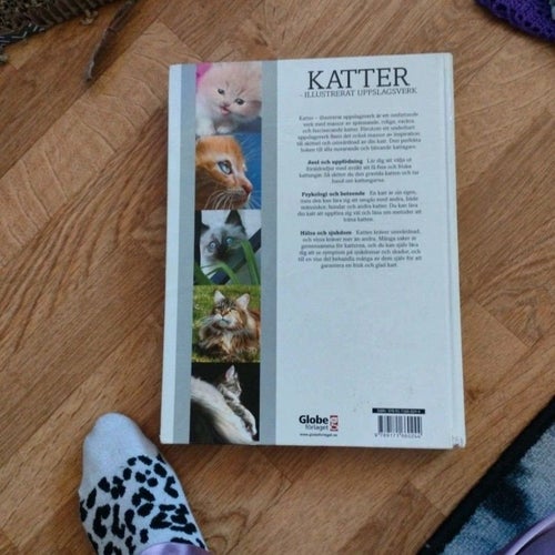 KATTER - ILLUSTRERAT UPPSLAGSVERK